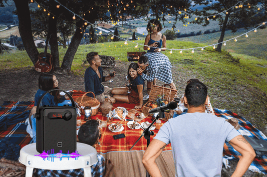 Which Bluetooth Speakers with Mic is Good for you?