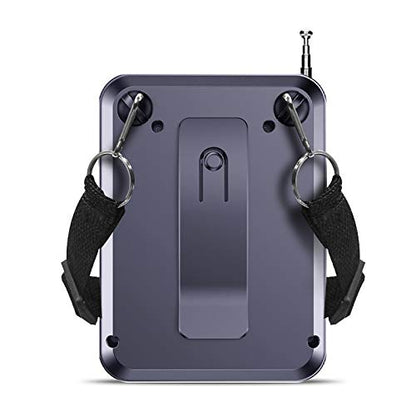 Bluetooth Wireless Portable Loud Speaker with Mic and Recording Function