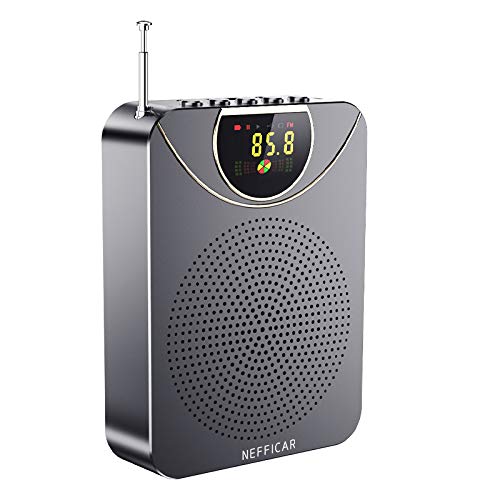 Bluetooth Wireless Portable Loud Speaker with Mic and Recording Function