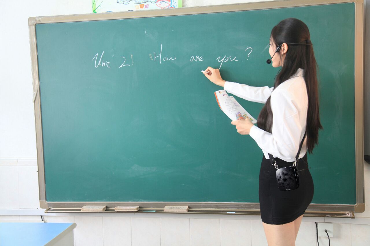 Voice Amplifier Loud Speaker with Microphone for Teachers - Nefficar